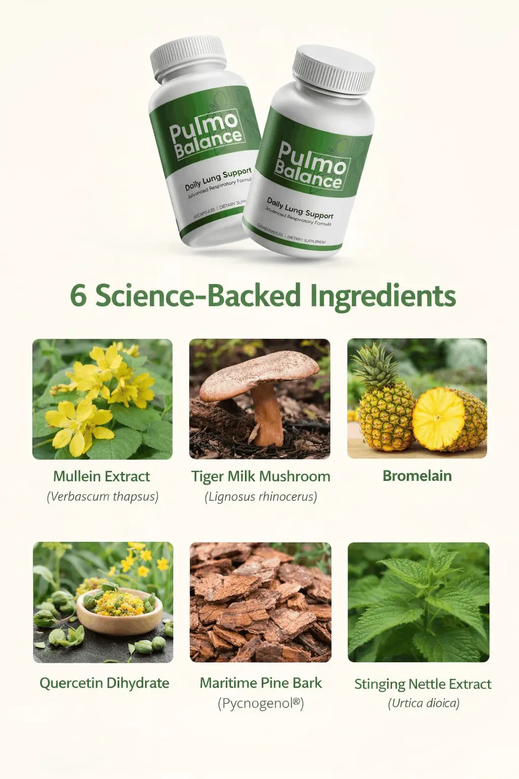 6 Science-Backed Ingredients for Lung Health - Mullein, Tiger Milk Mushroom, Bromelain, Quercetin, Maritime Pine Bark, Stinging Nettle
